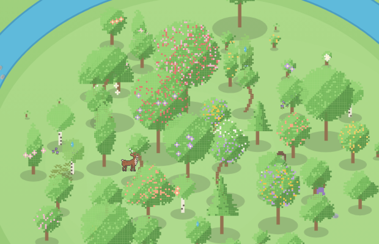 The same grove in summer: the blossom gone, canopies clean green